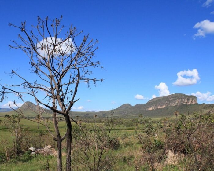 Chapada dos Veadeiros - Imagem 18