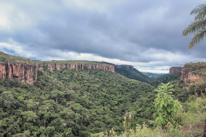 Chapada dos Guimarães - Image 10