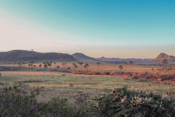 Chapada dos Veadeiros - Imagem 37