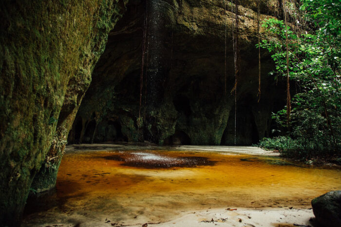 Expedição Amazônia - Image 6