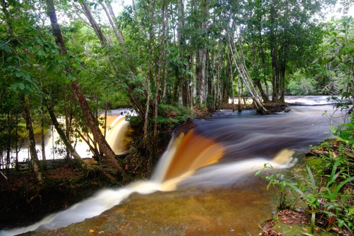 Expedição Amazônia - Image 9