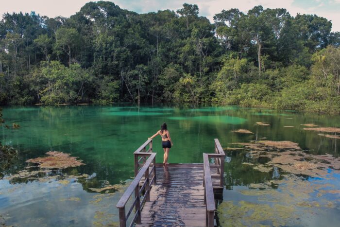 Mato Grosso: Chapada dos Guimarães e Nobres - Image 9