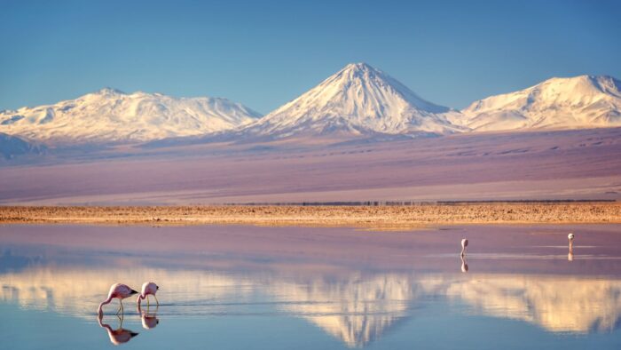 Expedição San Pedro de Atacama - Image 6