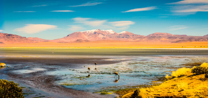 Expedição San Pedro de Atacama - Image 8