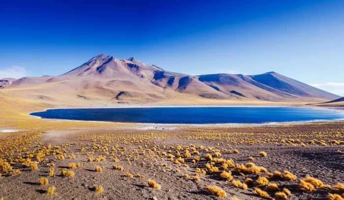 Expedição San Pedro de Atacama - Image 15